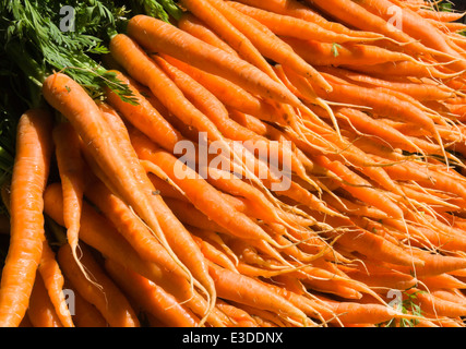 Stroud, einer kleinen Stadt in Gloucestershire im Süden der Cotswolds. Berühmt für seine Samstag Bauernmarkt. Stockfoto