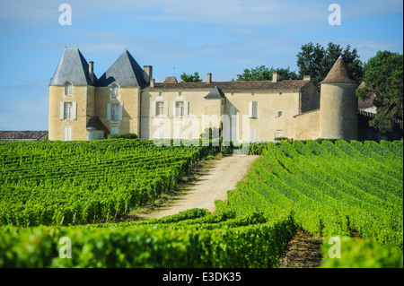 Weinberg und Chateau d ' Yquem, Sauternes Region, Aquitaine, Frankreich Stockfoto