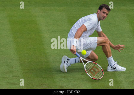 London, UK. 23. Juni 2014. Wimbledon Tennis Championships Grigor Dimitrow Bulgarien in Aktion gegen Ryan Harrison der Vereinigten Staaten während der ersten Tag Männer Singles erstes Vorrundenspiel bei den Wimbledon Tennis Championships auf The All England Lawn Tennis Club in London, Vereinigtes Königreich. Bildnachweis: Aktion Plus Sport/Alamy Live-Nachrichten Stockfoto