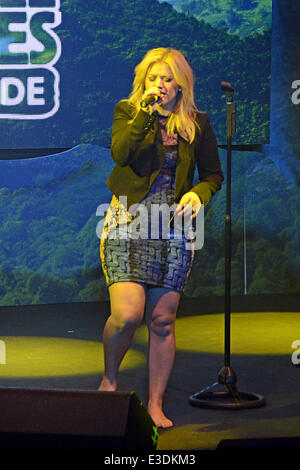 Kelly Clarkson führt, während die Menschen wie uns Fair-Trade-Konzert im Highline Ballroom Featuring: Kelly Clarkson Where: New York, NY, Vereinigte Staaten von Amerika bei: 10. Oktober 2013 Stockfoto