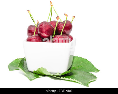 Kleine quadratische Schale gefüllt saftige Süßkirsche nasse Beeren mit Wasser Dropls auf natürliche Blätter isoliert Stockfoto