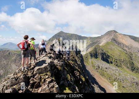 Verwürfler klettern auf Krippe Goch ein bergrücken nach oben Jagt in Snowdon Horseshoe mit Mount Snowdon und Krippe y Ddysgl jenseits in Snowdonia Wales UK Stockfoto