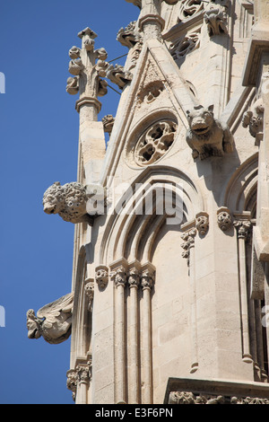 Wasserspeier in der Kathedrale von Palma De Mallorca, Spanien Stockfoto