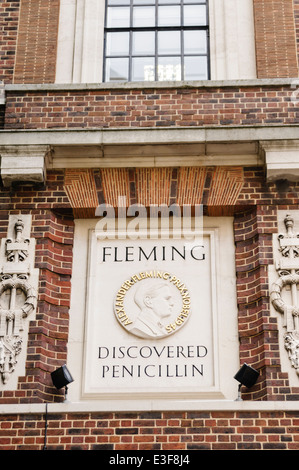 Stein-Denkmal für Alexander Fleming am Imperial College London, wo er Penicillin entdeckt Stockfoto