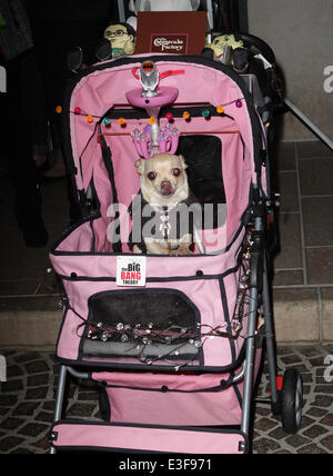 Die Amanda Stiftung jährliche Bow Wow Beverly Hills Halloween-Event in zwei Rodeo mit: Kandidat Hund wo: Beverly Hills, Kalifornien, Vereinigte Staaten, wann: 27. Oktober 2013 Stockfoto