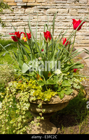 Einen viktorianischen Garten mit Wald und krautige Pflanzen, die nur selten außerhalb der großen botanischen Gärten zu finden. Stockfoto