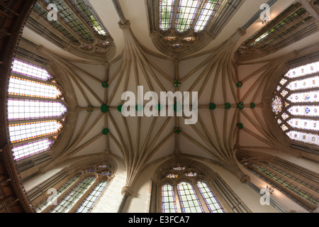 Die gewölbte Decke des Bischofs Palast-Kapelle in Wells, Somerset Stockfoto