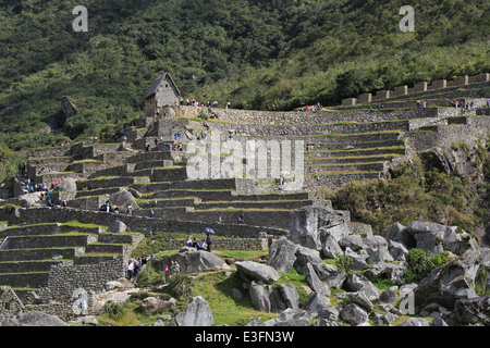 Blick auf das Wachhaus und landwirtschaftlichen Terrassen vom astronomischen Observatorium in Machu Picchu, Peru. Stockfoto