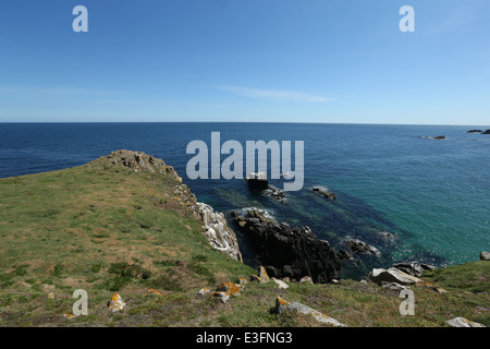 Ein Blick auf die Landschaft auf den Saltee Inseln in Wexford, Irland. Stockfoto