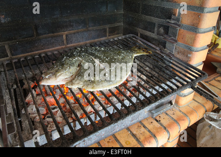 Steinbutt auf dem grill Stockfoto