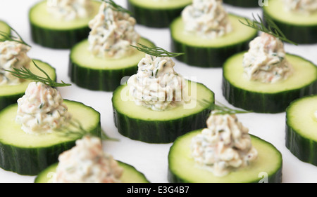 Lachs beißt - Lachs mousse serviert auf Gurken Scheiben, garniert mit Dill. Stockfoto