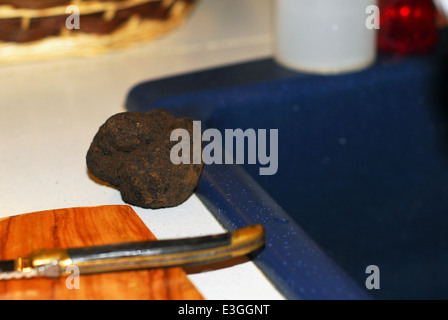 Eine große schwarze Trüffel gekocht werden Stockfoto