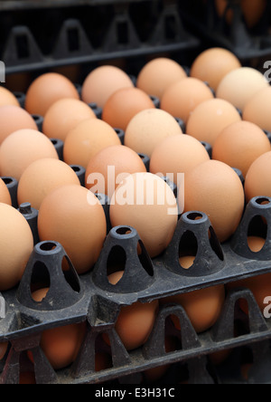 Ei auf Tabletts auf dem Markt Stockfoto