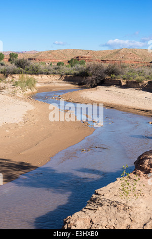 Paria River in der Wüste des südlichen Utah. Stockfoto