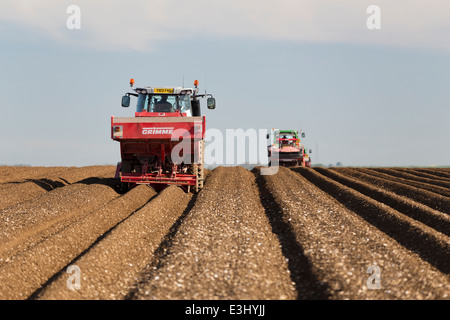 UK, North Yorkshire, pflügen den Boden vorbereiten, seeding Kartoffeln zu Pflanzen. Stockfoto