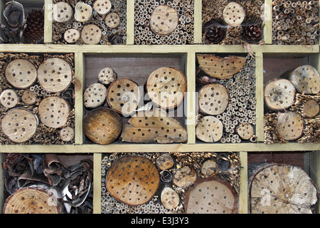 Fehler-Haus bietet Verschachtelung Löcher für eine Vielzahl von Minibeasts Stockfoto