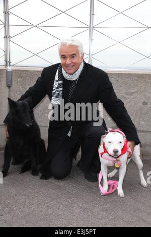 ESB Vertrauen Host Schauspieler, Autor, Broadway Star, John O'Hurley, zu Ehren der NBC National Hund zeigen mit: John O'Hurley und mans beste Freunde wo: NYC, New York, Vereinigte Staaten von Amerika bei: 26. November 2013 Stockfoto