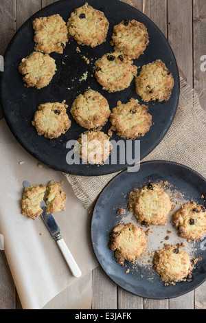 Sultana und Hafer Cookies. Stockfoto