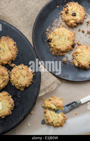 Sultana und Hafer Cookies. Stockfoto