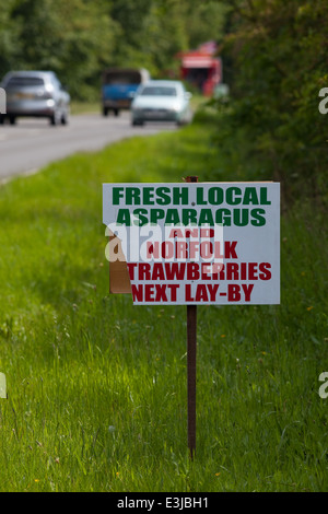 Zeichen. Am Straßenrand Verkauf von lokal angebauten Spargel und Erdbeeren. Wayford Brücke. Stalham. Norfolk. Stockfoto