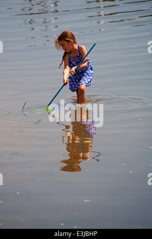 Junges Mädchen im Wasser mit net Verdrehungen in Poole Harbour im Juni steht Stockfoto