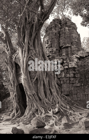 Einer der am Eingang des Tempels von Ta Som innerhalb der alten Stadt in der Nähe von Siem Reap Angkor Stockfoto