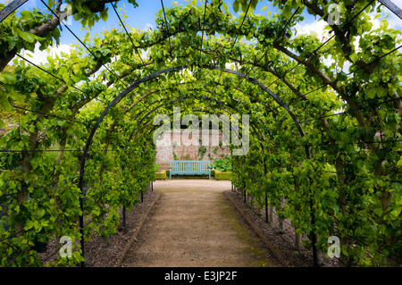 West Dean Gardens in der Nähe von Chichester, West Sussex, UK Stockfoto