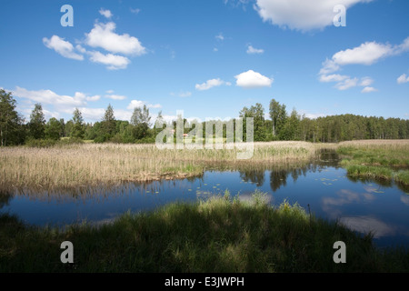 Karvajalka Fluss Feuchtgebiet, Taipalsaari Finnland Stockfoto