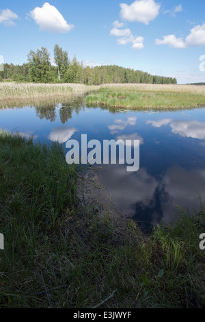 Karvajalka Fluss Feuchtgebiet, Taipalsaari Finnland Stockfoto