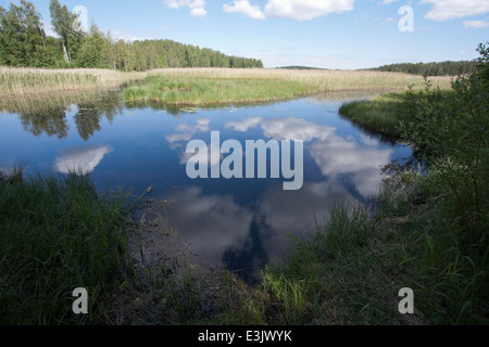 Karvajalka Fluss Feuchtgebiet, Taipalsaari Finnland Stockfoto