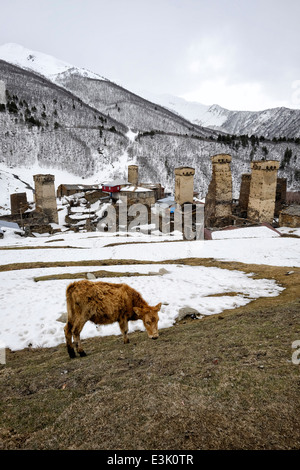 Alte Svanetian schützenden Türmen im Dorf Ushguli eine der höchsten kontinuierlich bewohnten Siedlungen in Europa an der Spitze des Enguri Schlucht in Svaneti, anerkannt als die obere Swanetien UNESCO Weltkulturerbe in der Republik Georgien Stockfoto