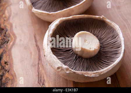 Drei Portobello Pilze auf einem rustikalen Schneidebrett Stockfoto