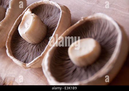 Drei Portobello Pilze auf einem rustikalen Schneidebrett Stockfoto