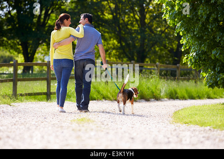 Rückansicht des hispanischen paar Spaziergang mit Hund In Landschaft Stockfoto