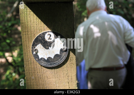 Die Fledermaus-Lehrpfade in Skipton Schloß Wald Stockfoto