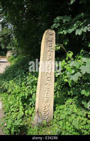 Lehrpfade in Skipton Schloß Wald Stockfoto