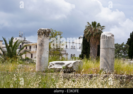 Korinthische Säulen in der antiken Agora, Kos-Stadt, Kos, Griechenland Stockfoto