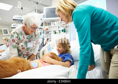 Junge Mädchen, die im Krankenhaus von Therapiehund besucht Stockfoto