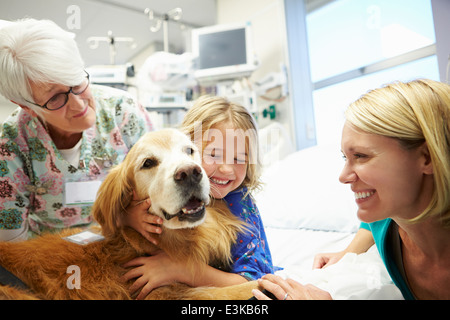 Junge Mädchen, die im Krankenhaus von Therapiehund besucht Stockfoto