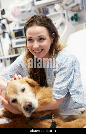 Therapiehund junge Patientin im Krankenhaus besuchen Stockfoto