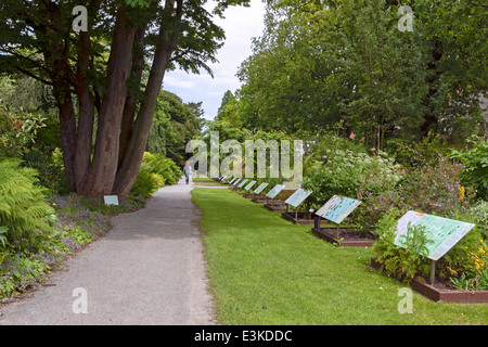 Hortus Botanicus Leiden Botanischen Gärten in den Niederlanden