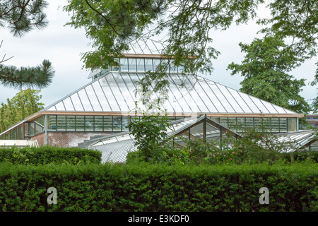 Viktorianischen Gewächshaus im Hortus Botanicus, der Botanische Garten der Universität Leyden, Südholland, Niederlande. Stockfoto