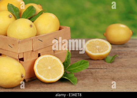 Zitronen mit Blättern in einer Holzkiste auf einem Tisch mit grünem Hintergrund Stockfoto