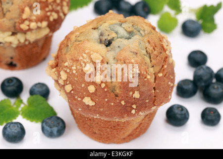 Frisch gebackene Blaubeer-Muffins mit Heidelbeeren serviert Stockfoto