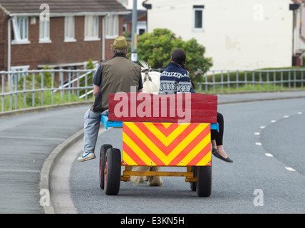 RAG und Knochen Pferd und Wagen in Billingham, Nord-Ost-England. UK Stockfoto