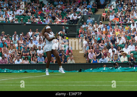 London, UK. 24. Juni 2014. Wimbledon Tennis Championships Serena Williams der Vereinigten Staaten im Kampf gegen Anna Tatishvili der Vereinigten Staaten in Tag zwei Damen Einzel ersten Vorrundenspiel bei den Wimbledon Tennis Championships auf The All England Lawn Tennis Club in London, Vereinigtes Königreich. Bildnachweis: Aktion Plus Sport/Alamy Live-Nachrichten Stockfoto