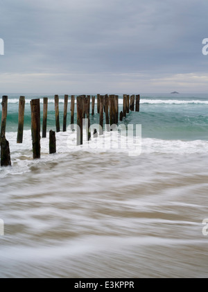 Blick auf die verlassenen Pier auf der St. Clair Strand, mit weißen Insel in der Ferne; Dunedin, Otago, Neuseeland Stockfoto