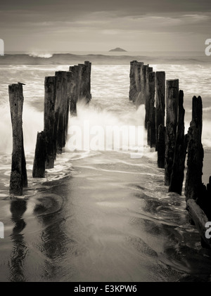 Blick auf die verlassenen Pier auf der St. Clair Strand, mit weißen Insel in der Ferne; Dunedin, Otago, Neuseeland Stockfoto