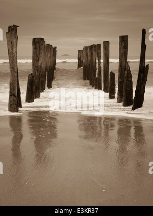 Blick auf die verlassenen Pier auf der St. Clair Strand, mit weißen Insel in der Ferne; Dunedin, Otago, Neuseeland Stockfoto