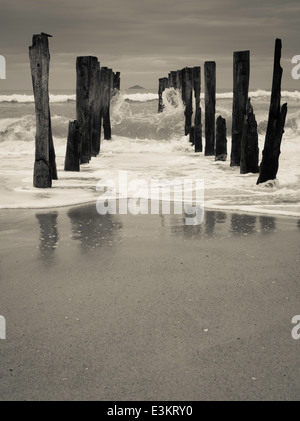 Blick auf die verlassenen Pier auf der St. Clair Strand, mit weißen Insel in der Ferne; Dunedin, Otago, Neuseeland Stockfoto